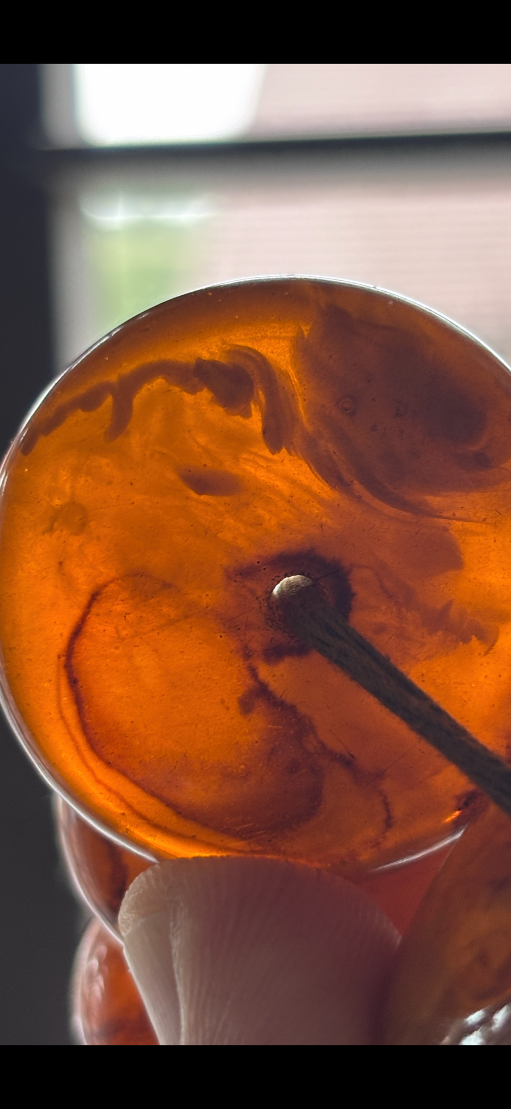 Monumental Graduated Amber Rondelle Necklace, 600 Grams, Ethnographic Character